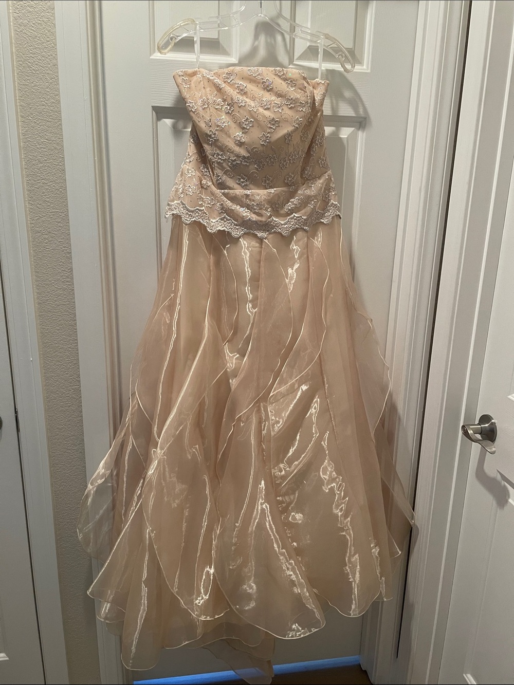 Strapless Lace & Organza Party Dress in Blush